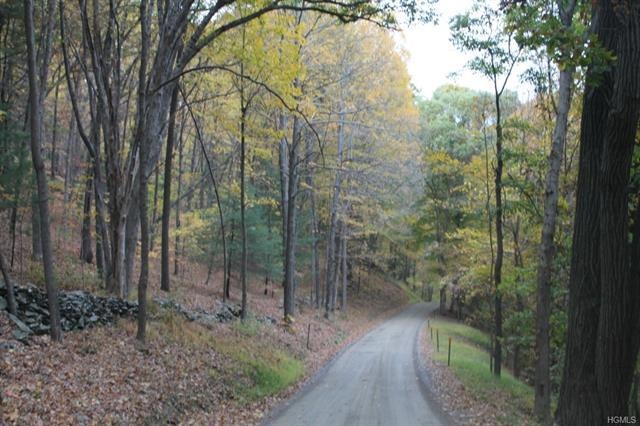 0 Silver Lake Rd unit 4435343, Clinton, NY 12572 - photo 1
