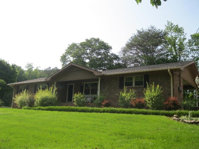 Main View