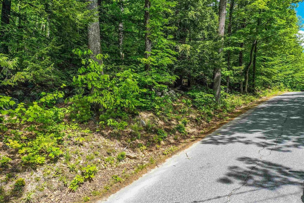 0 Old Post Rd unit Lot 2 4878628, Newbury, NH 03255 - photo 1