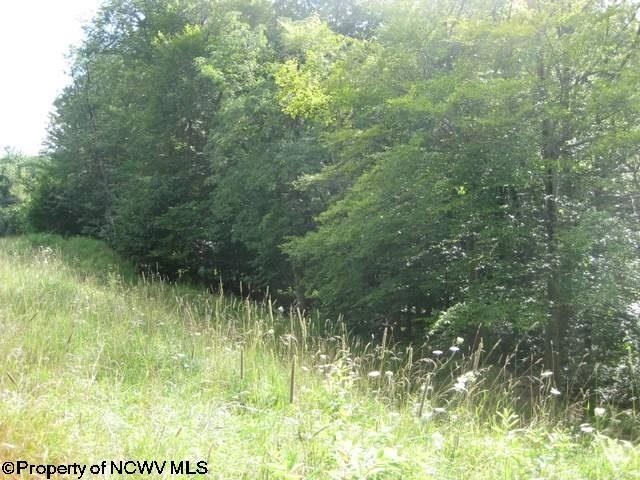 Lot 2 Northlake Development Dr, Davis, WV 26260 - photo 1