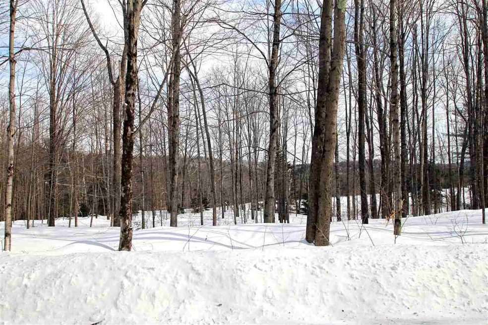 301 Clark Rd, Northfield, VT 05663 - photo 1