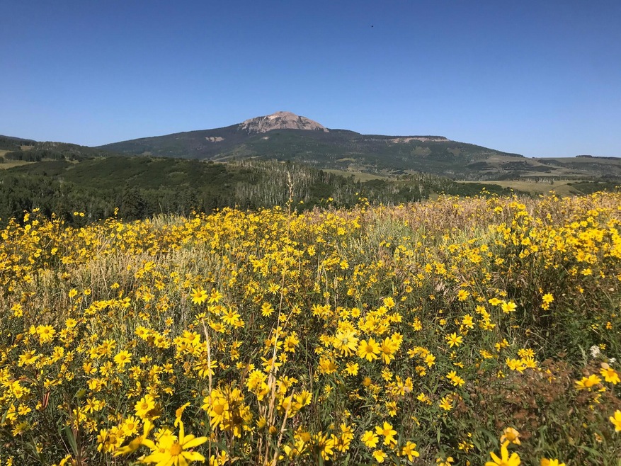 Lot 47 Wilson Mesa Ranch