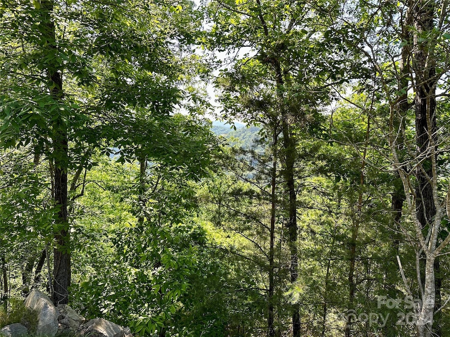 387 Wild River Run unit 6, Marshall, NC 28753 - photo 1