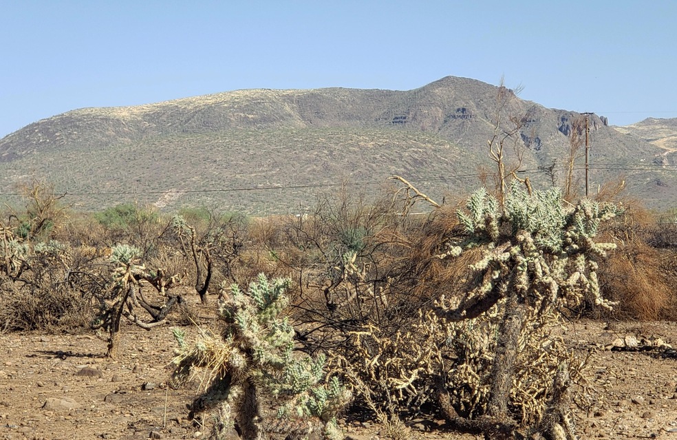 ELEPHANT BUTTE