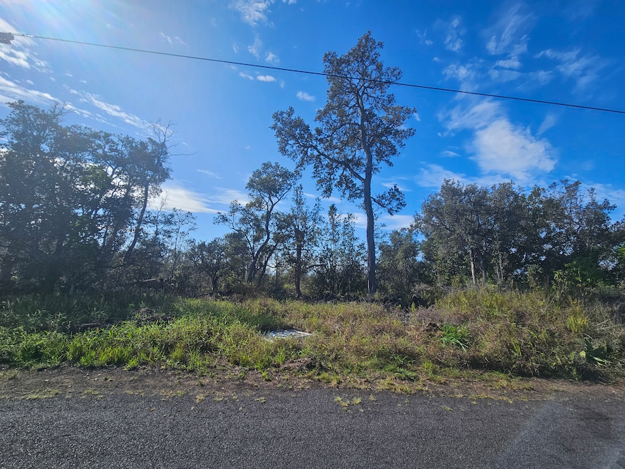 0 Coral Pkwy unit 724318, Ocean View, HI 96737 - photo 1