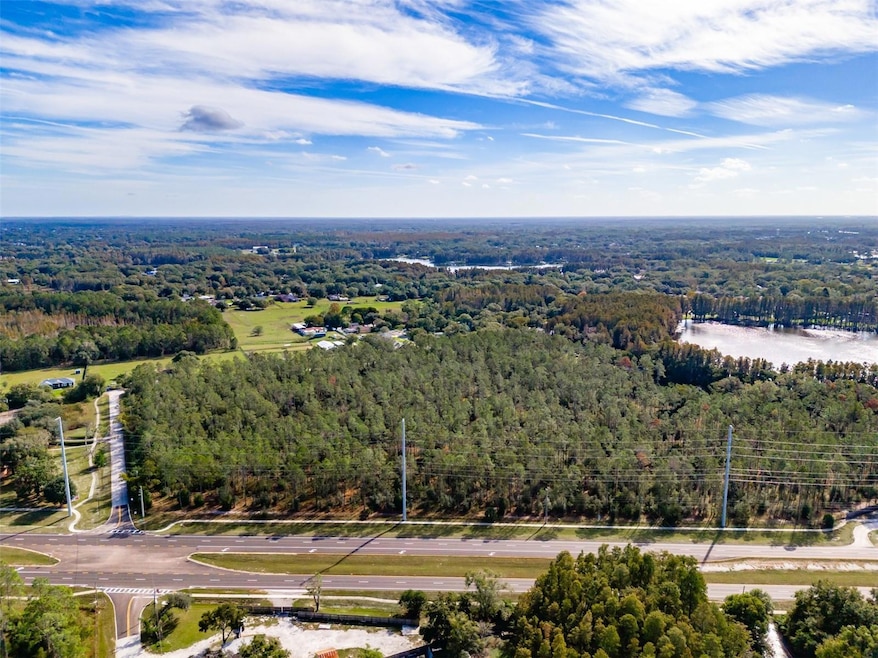 0 SE Corner of Holly Lane & S R 597 Ln unit MFRT3488610, Lutz, FL 33558 - photo 1