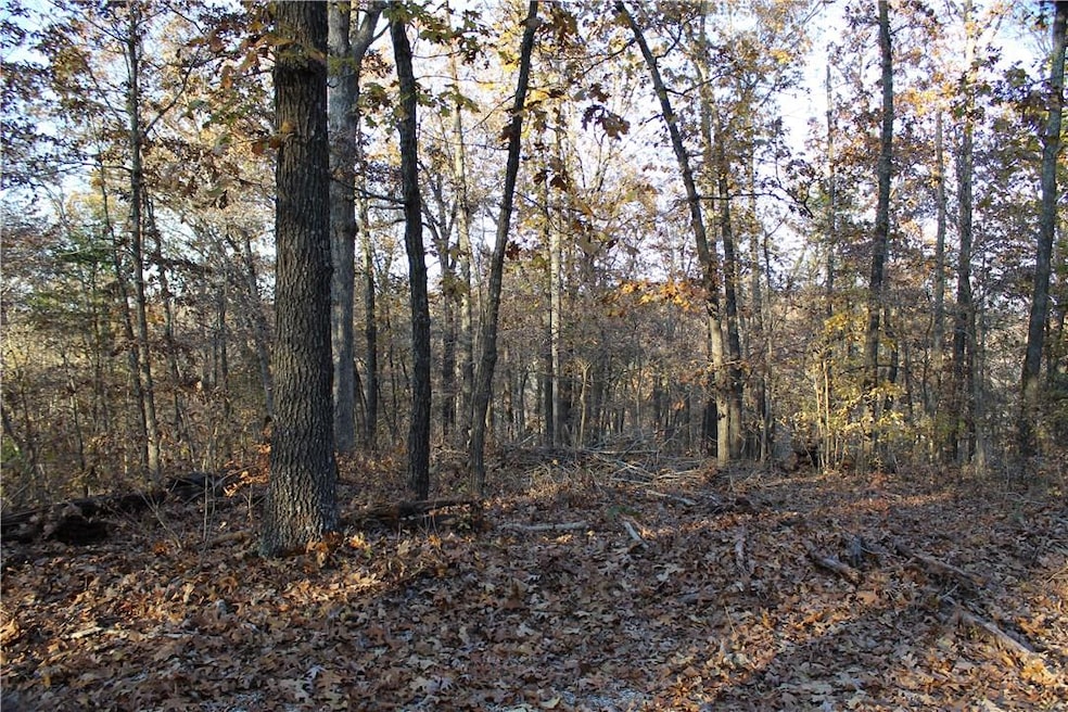 0 Carew Dr unit 1133051, Bella Vista, AR 72714 - photo 1