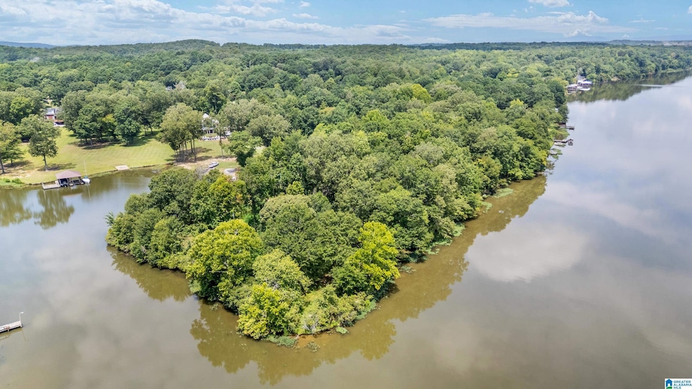 Lot 7A Hebb Rd, Wilsonville, AL 35186 - photo 1