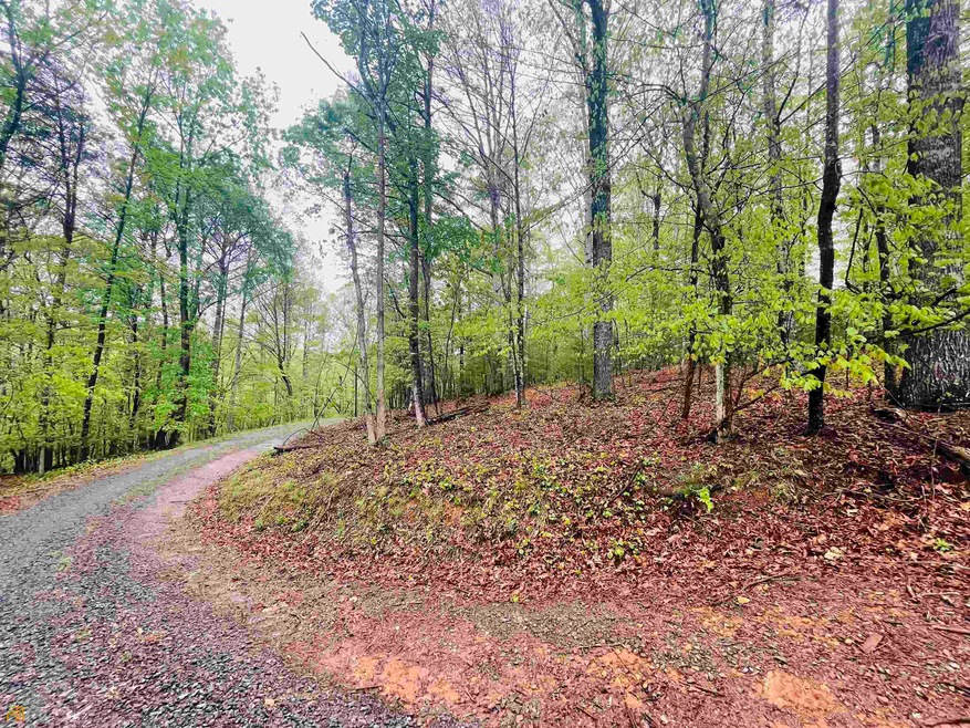 LT. 25 Morningside Ct, Ellijay, GA 30540 - photo 1