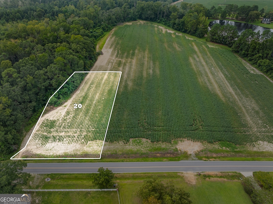 0 Miller Street Extension unit LOT 20, Statesboro, GA 30458 - photo 1
