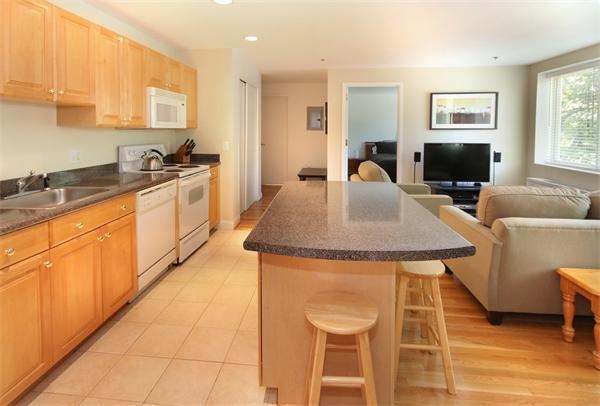 332 Jamaicaway unit 304, Jamaica Plain, MA 02130 - photo 1
