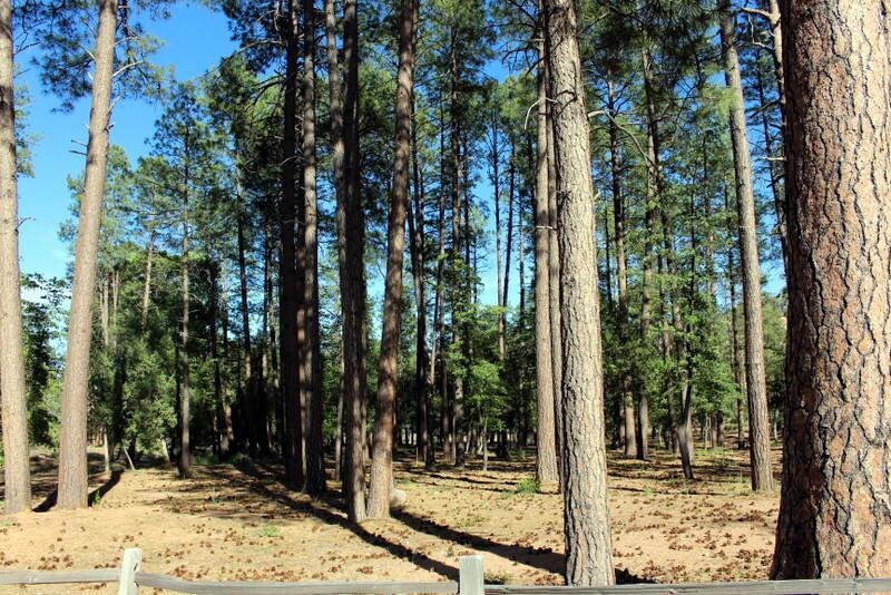 1303 S Bent Tree Cir, Payson, AZ 85541 - photo 1