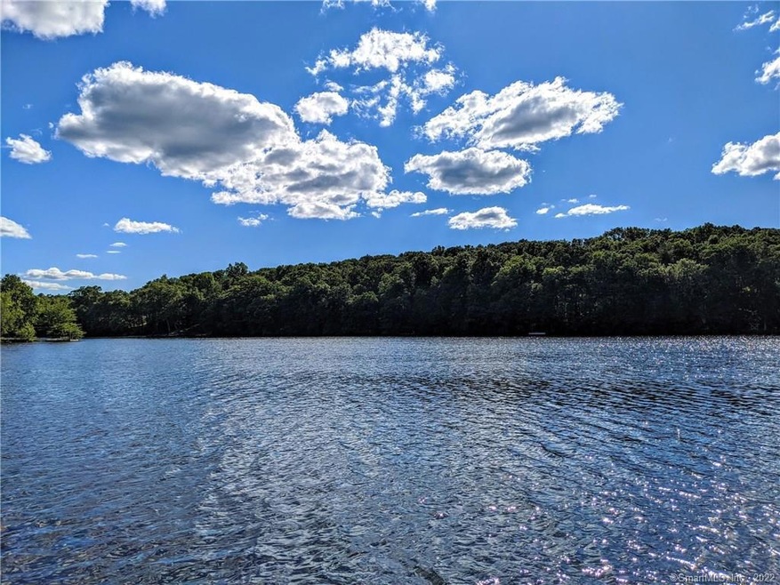 234 W Quasset Rd, Woodstock, CT 06281 - photo 1