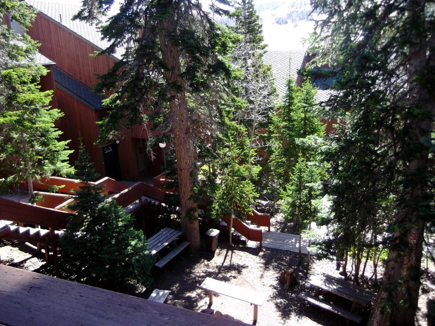 lOOKING INTO COURT YARD