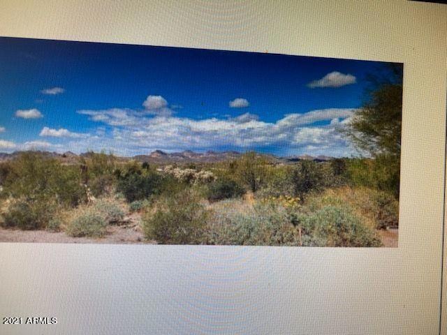 Wunderlich Trust Pic McKellips