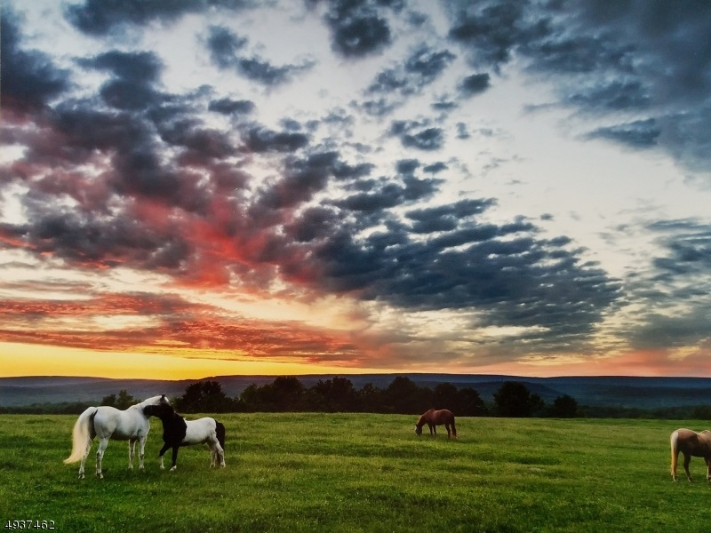 31 Fairview Hill Rd, Newton, NJ 07860 - photo 1