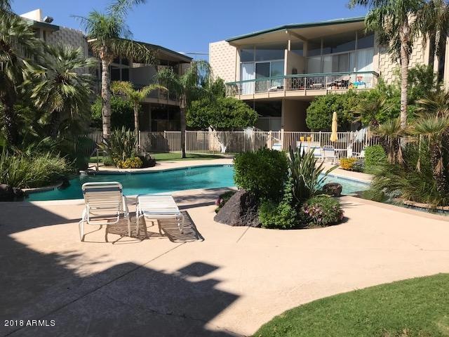 OASIS COMMUNITY POOL