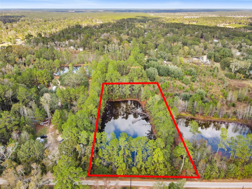 18186 Blackberry Ln, Conroe, TX 77306 - photo 1