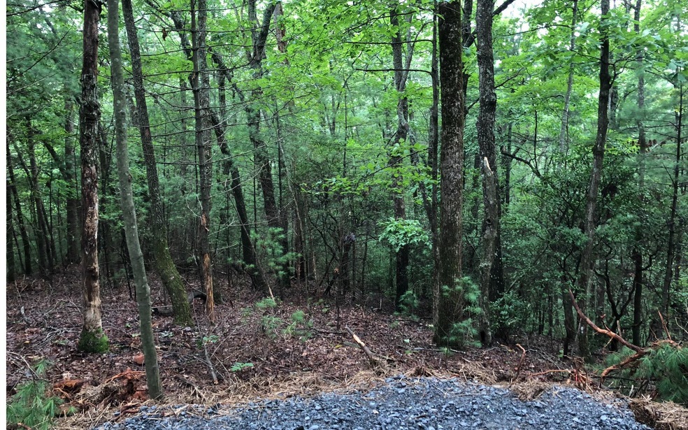 TK 9 Douglas Mountain Trail, Ellijay, GA 30540 - photo 1