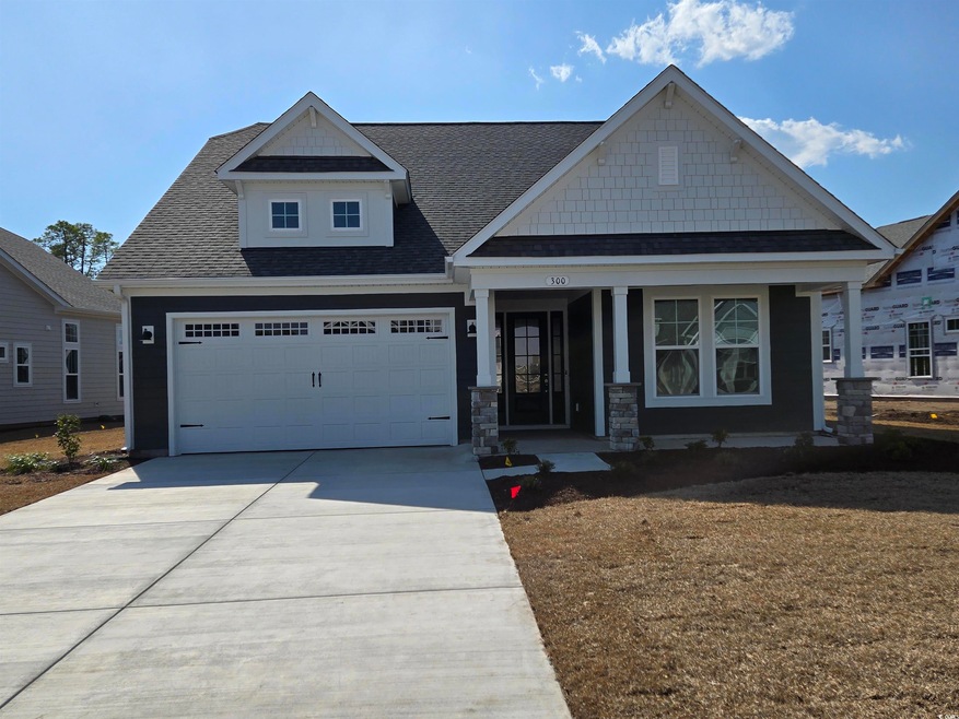 Craftsman house featuring concrete driveway and ro