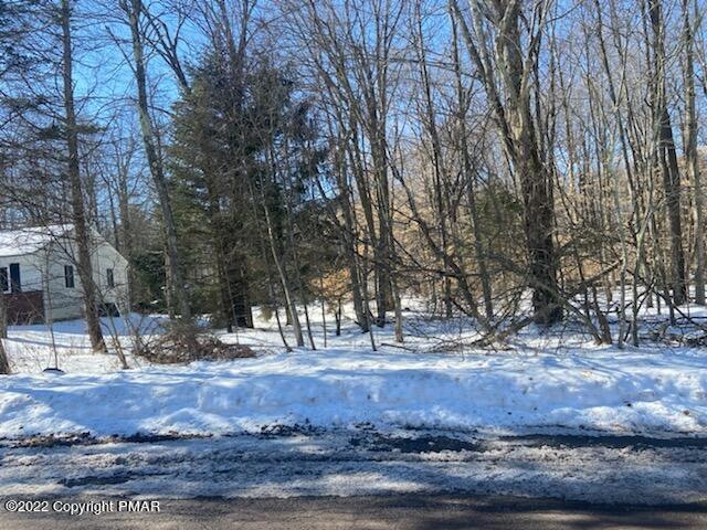 7 Altemose Rd, Pocono Pines, PA 18347 - photo 1