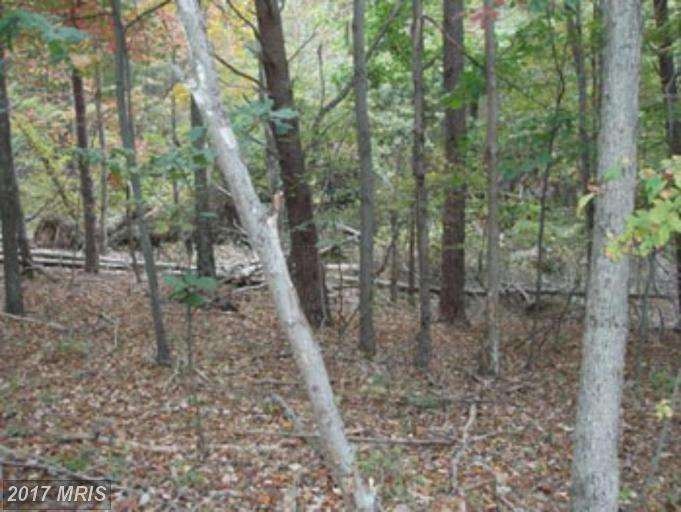 0 0 Oakland Hills, Berkeley Springs, WV 25411 - photo 1