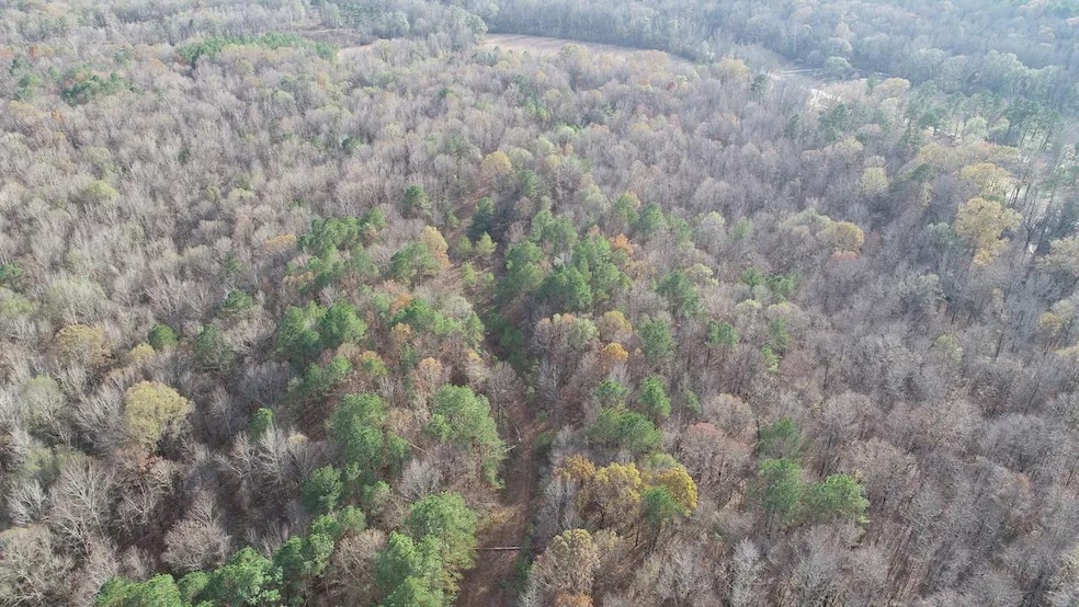 San Roc Rd, Grenada, MS 38901 - photo 1