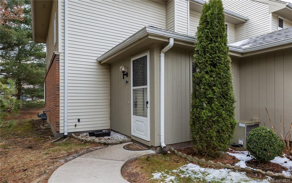 181 W Bass Ln unit 181, Suffield, CT 06078 - photo 1