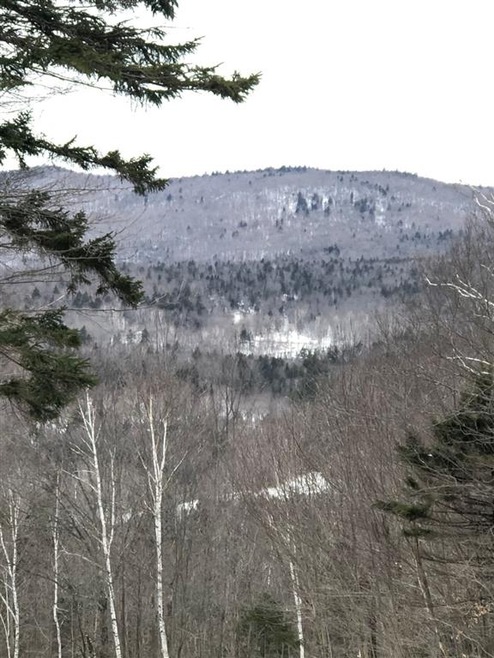 1 E Hill Rd, Andover, VT 05143 - photo 1