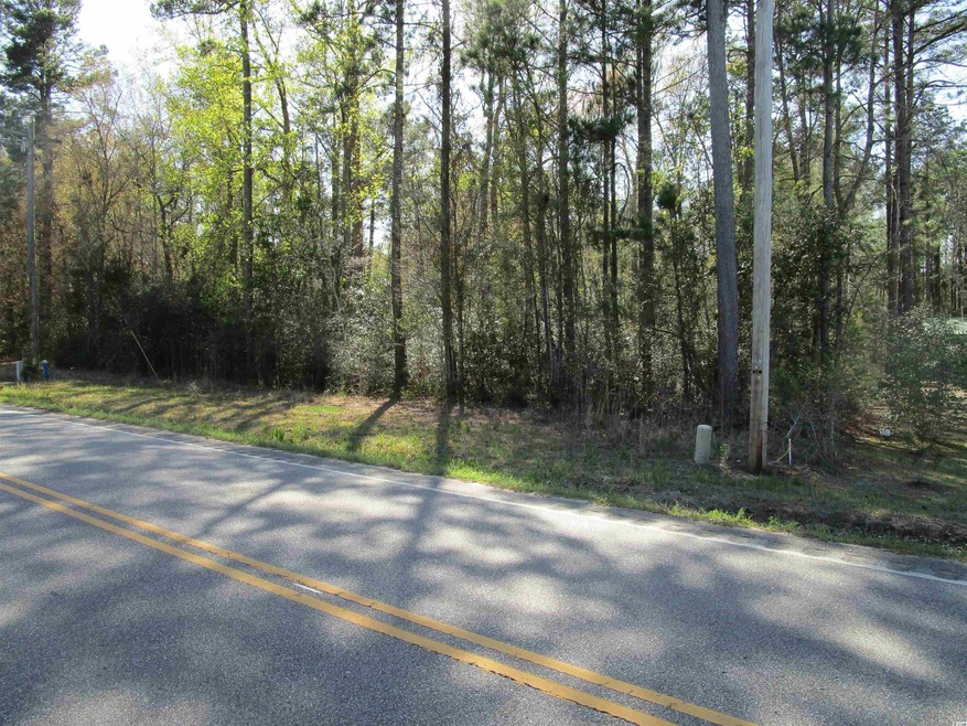 TBD Highway 19, Conway, SC 29526 - photo 1
