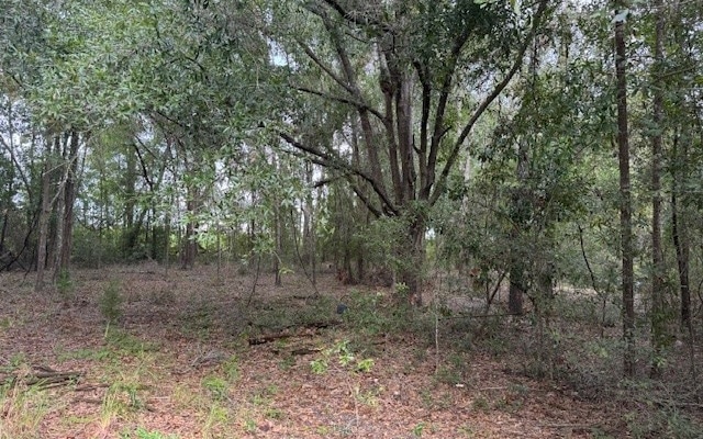 27210 41st Rd, Branford, FL 32008 - photo 1