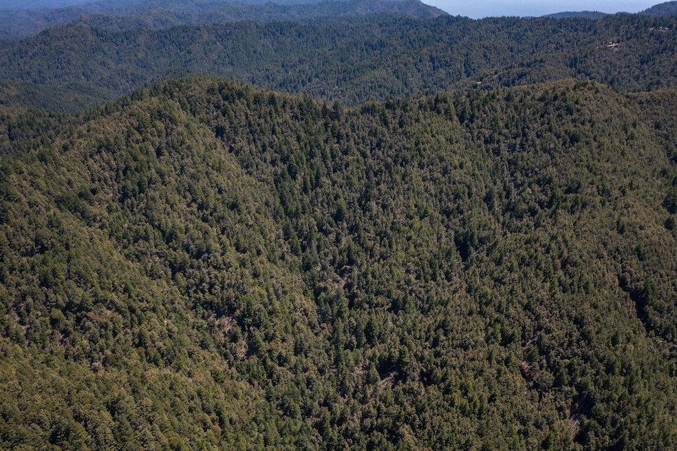 EASTFORK BRIDGE (1)