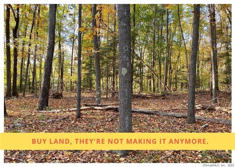 52 Chalker Rd, Durham, CT 06422 - photo 1