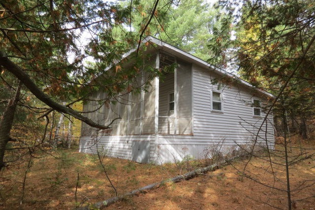 Main View