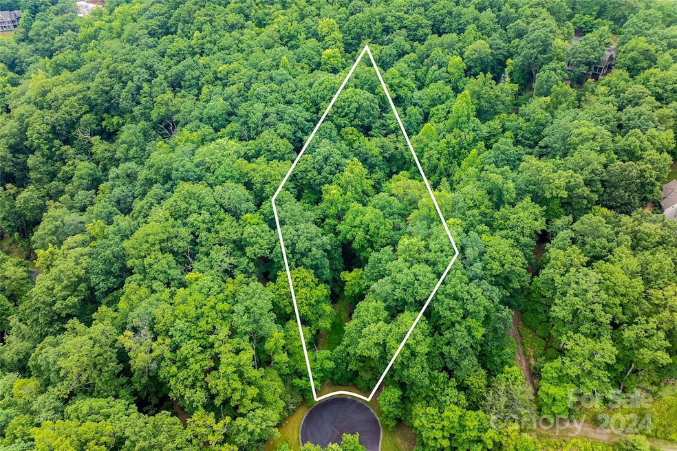 99999 Running Deer Trail unit 80, Mills River, NC 28742 - photo 1