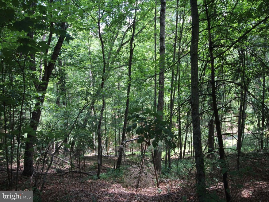 0 Anderson Rd unit VASH2006376, Basye, VA 22810 - photo 1