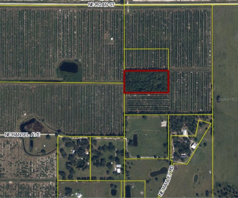 5 acres of land in Arcadia