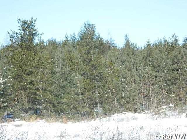 Pcl 2 Woodland Pass, Danbury, WI 54830 - photo 1