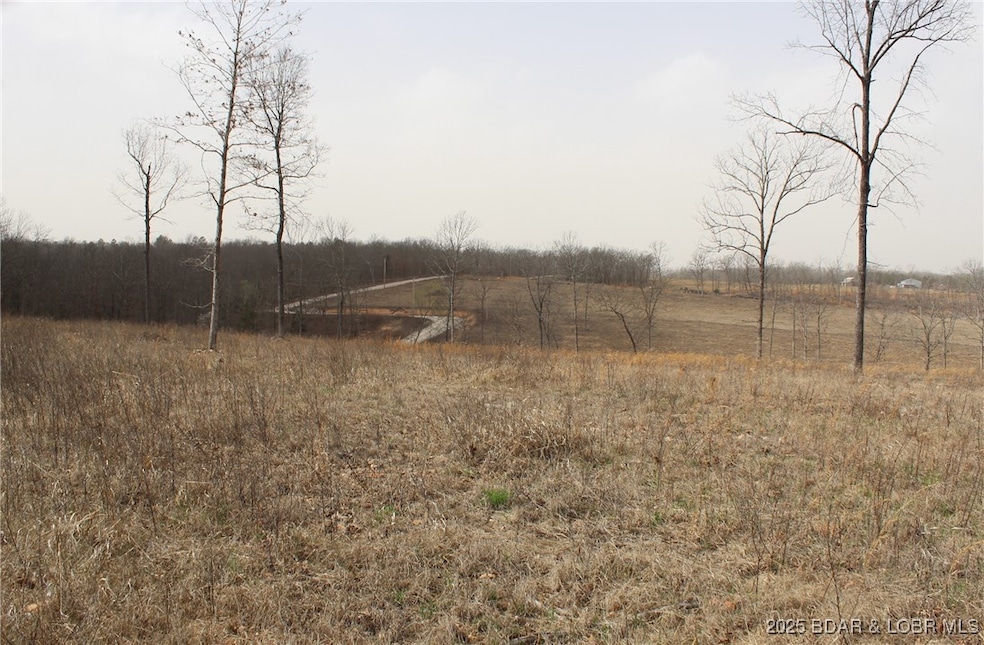 View of all three cleared lots.