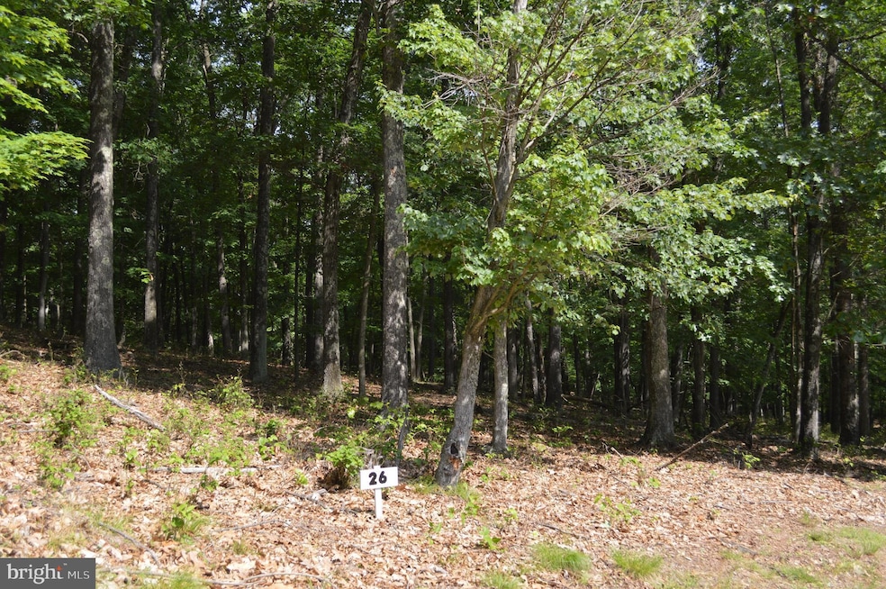 26 Twin Lakes Dr, Berkeley Springs, WV 25411 - photo 1