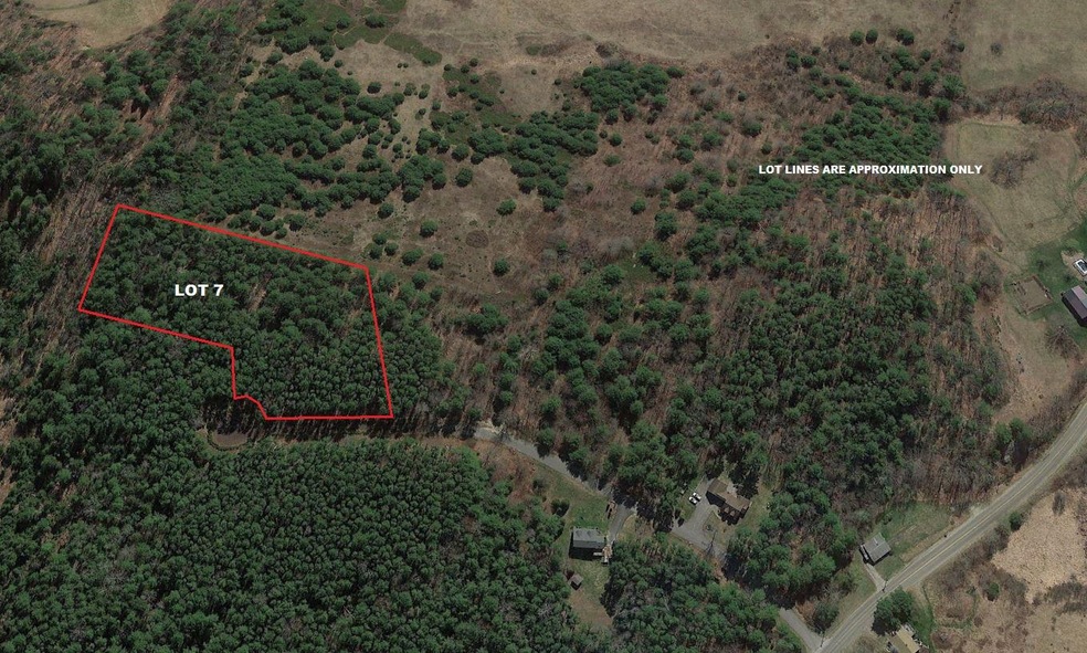 Google Aerial 2020 LOT 7
