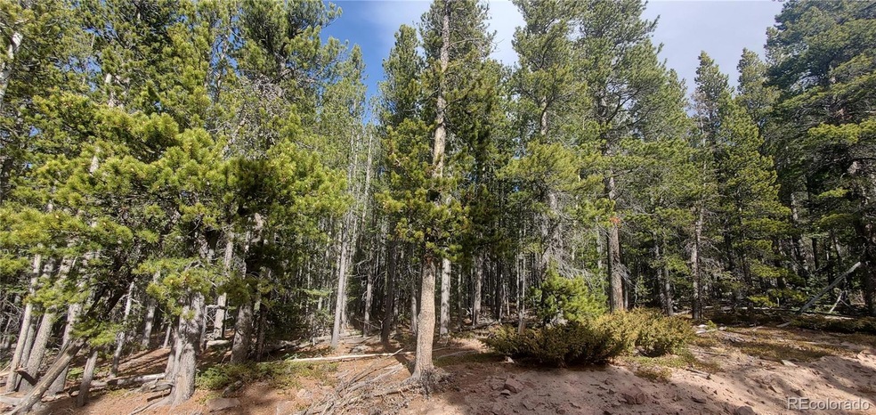 Lot 3246 Zipf Ln unit 3246, Fort Garland, CO 81133 - photo 1