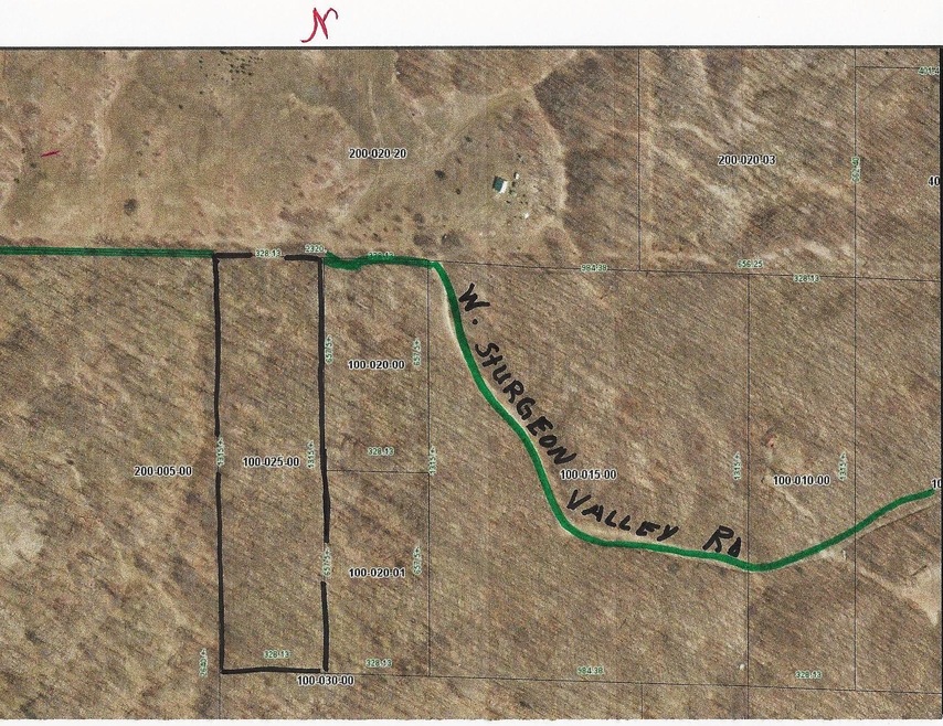 0 W Sturgeon Valley Rd unit 10 acres 316516, Vanderbilt, MI 49795 - photo 1