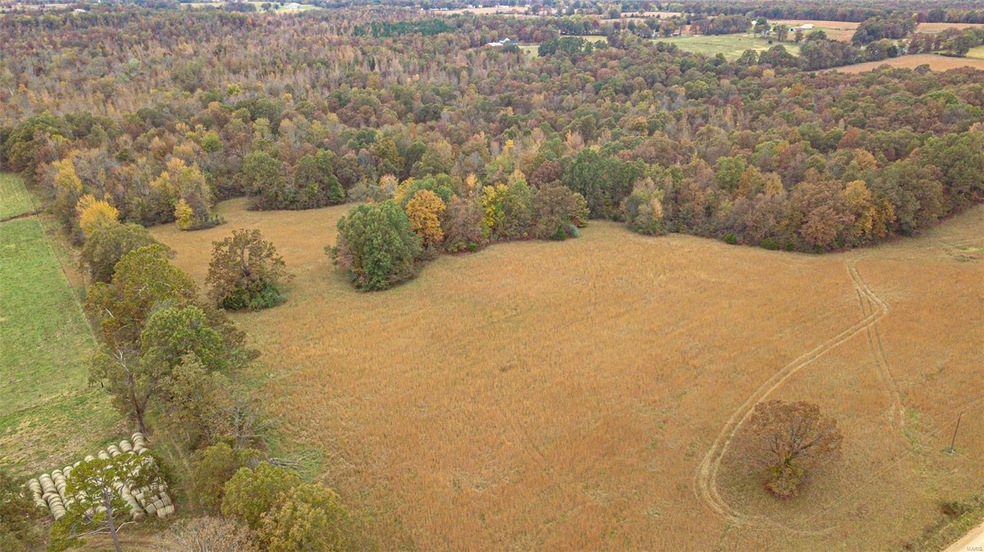 480 County Road 480, Poplar Bluff, MO 63901 - photo 1