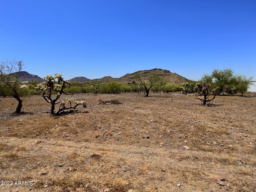 1.1 Acre Lot