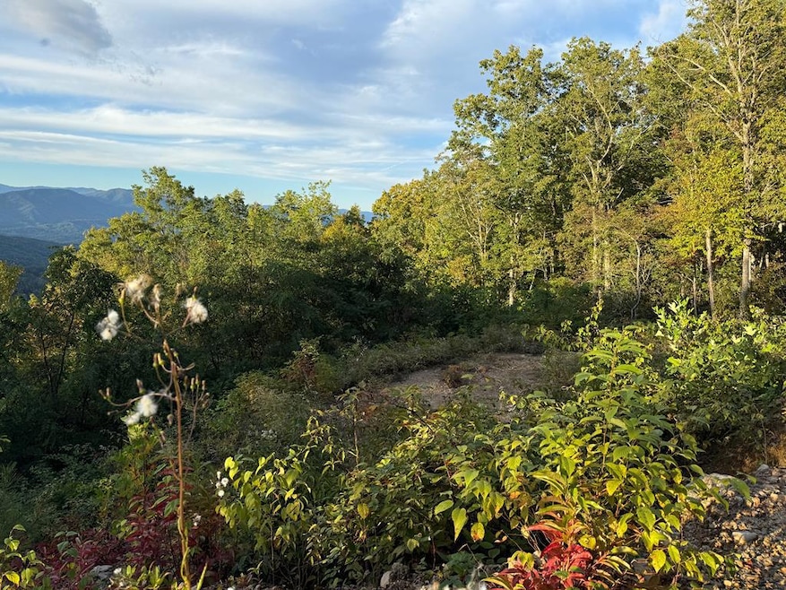 585 Cardinal Bluff Rd, Whittier, NC 28789 - photo 1