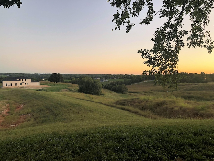 1482 S Main St, Nixa, MO 65714 - photo 1