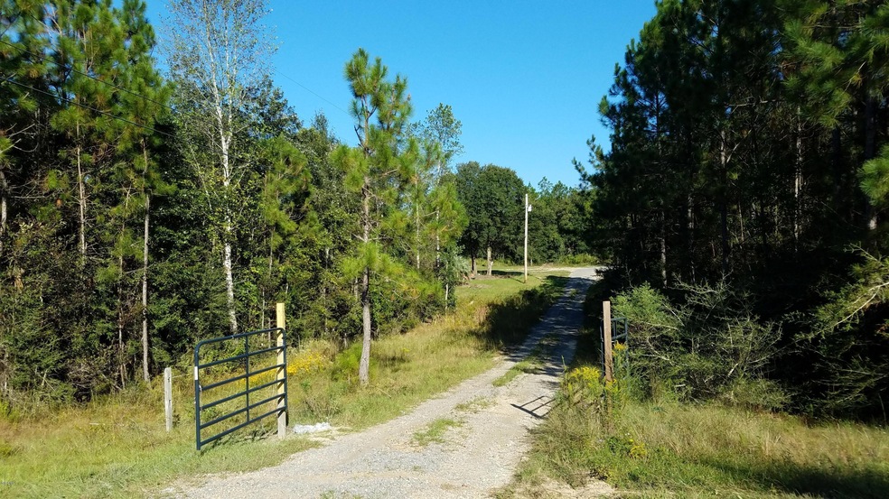 close view of road and lot 12 13