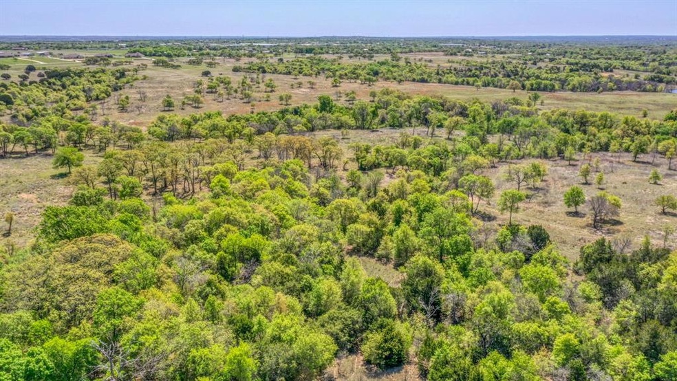 tbd 74 Pommel Ct, Weatherford, TX 76088 - photo 1