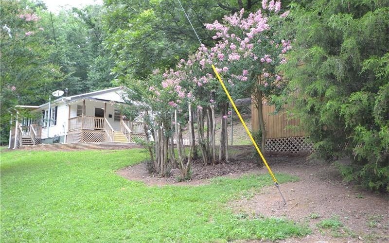 Main View
